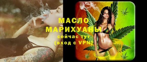 молекула духа Елизово