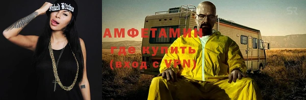 молекула духа Елизово