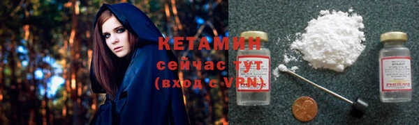 прущие крисы Ельня