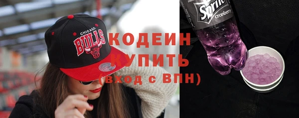 прущие крисы Ельня