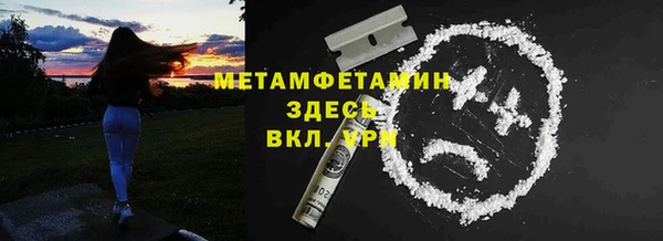 прущие крисы Ельня