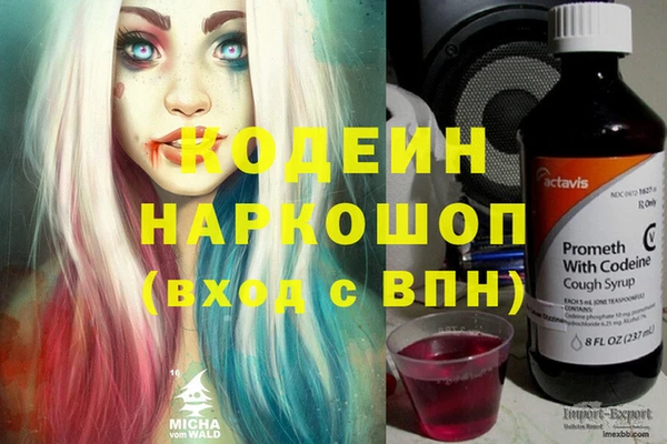 прущие крисы Ельня