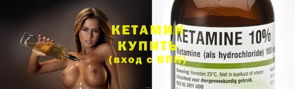 прущие крисы Ельня