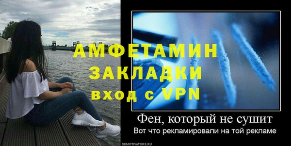 молекула духа Елизово