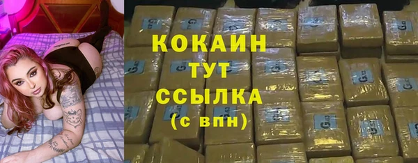 прущие крисы Ельня