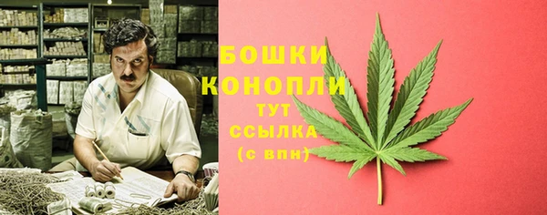прущие крисы Ельня