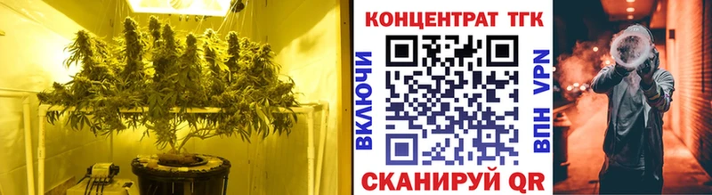 цены наркотик  Петрозаводск  ТГК концентрат 